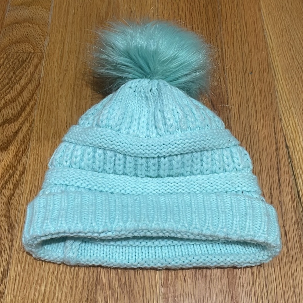 Gently Used Mint Beanie One Size